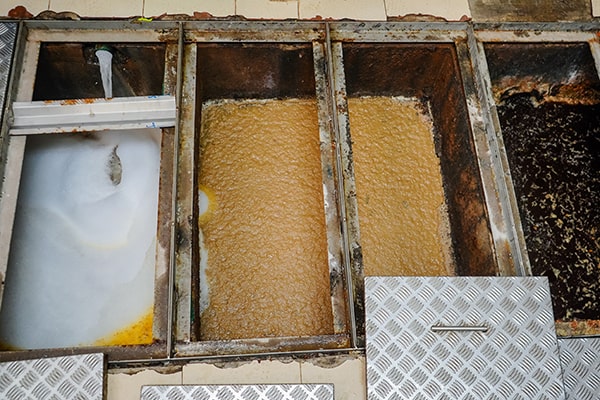 regular grease trap maintenance, including proper cleaning and inspection, can significantly extend the lifespan of the system